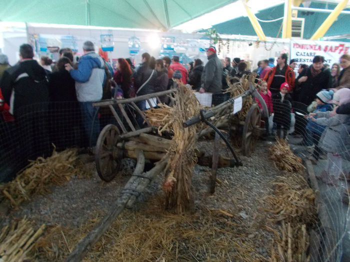 Picture 049 - COMBATANTE INDIENE IN EXPOZITIE LA CLUJ 2014