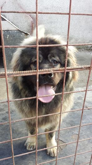 20140118_131352 - Max la 9 luni