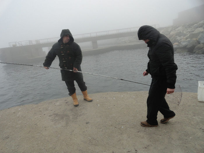 ni s-au terminat scoicile