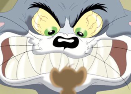 Tom si Jerry