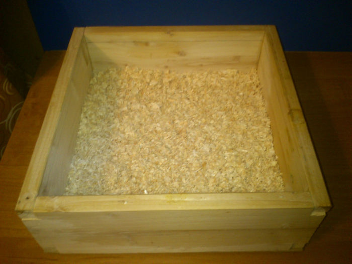 4-strat de rumegus cu ectospray