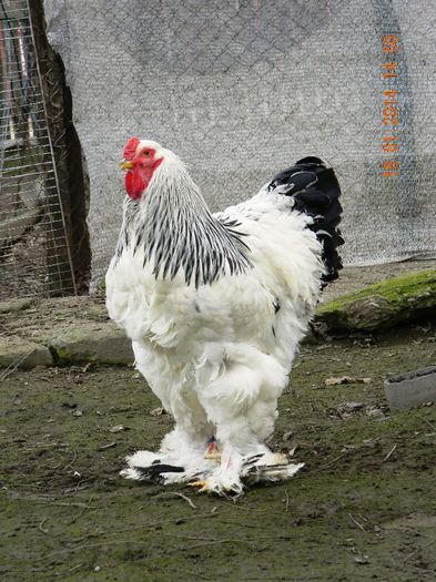 DSCN9526 - FAMILIA 1