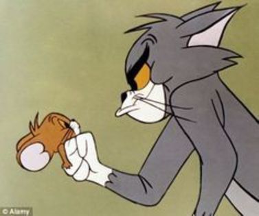 Tom si Jerry