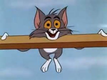 Tom si Jerry