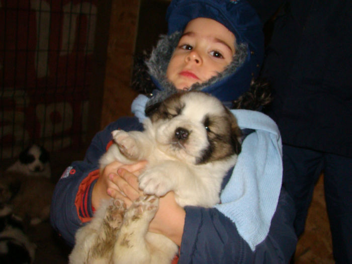 DSC05661 - Cuib CRB 21-12-2013