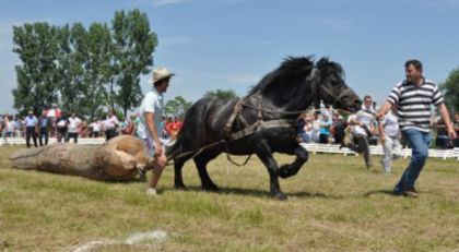 concurs-tractiune-RUSENI 2013