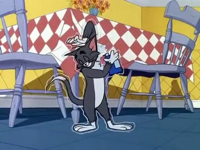 Tom si Jerry