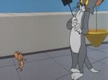 Tom si Jerry