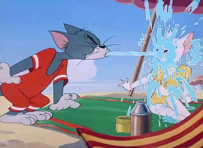 Tom si Jerry