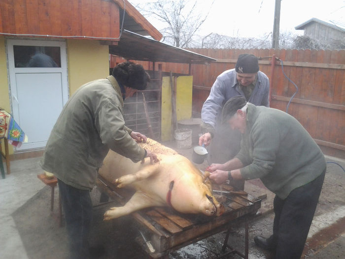 Fotografie2030 - Porkshop