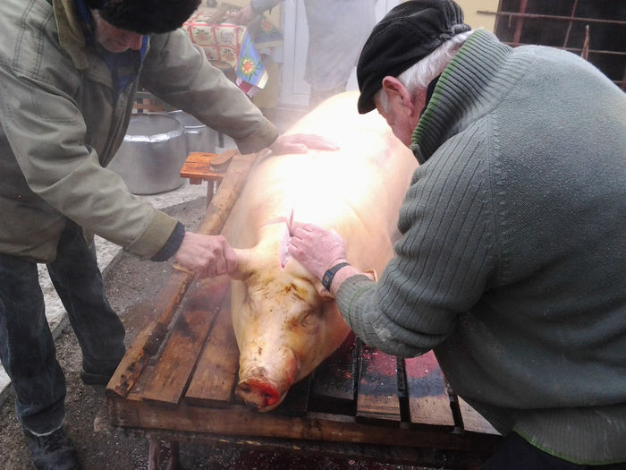 Fotografie2035 - Porkshop