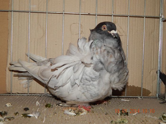DSCN1821