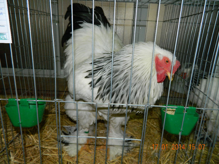 DSCN5002