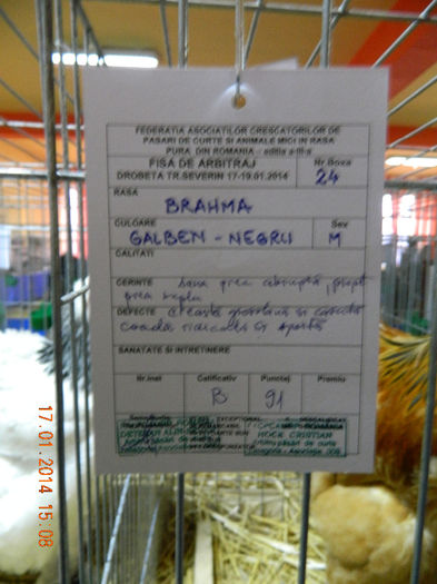 DSCN5011