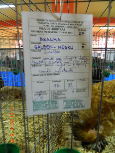 DSCN5019 - Expo Fauna Mehedinteana - Editia a III-a