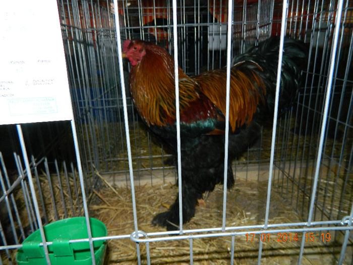 DSCN5035