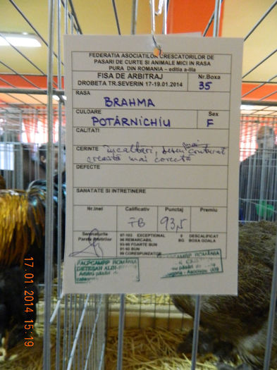 DSCN5037 - Expo Fauna Mehedinteana - Editia a III-a