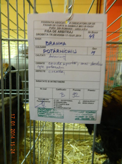 DSCN5064