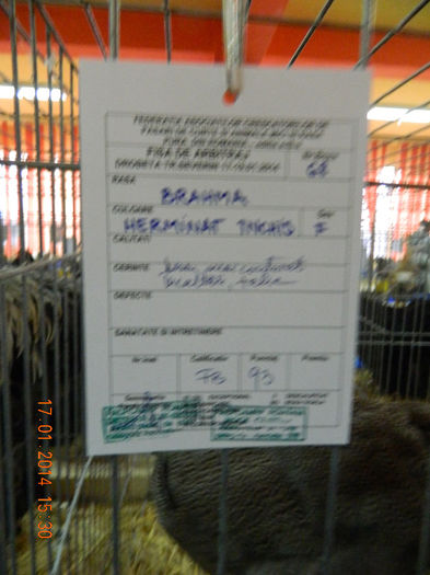 DSCN5110 - Expo Fauna Mehedinteana - Editia a III-a