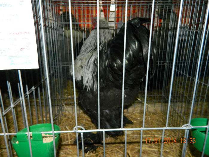 DSCN5129