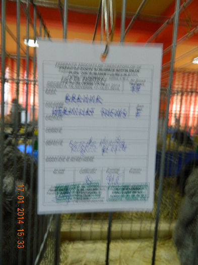 DSCN5134