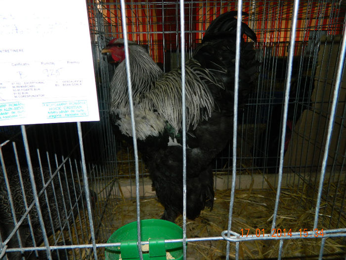 DSCN5141