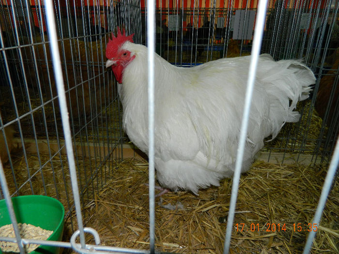 DSCN5150