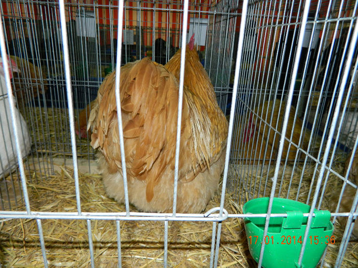 DSCN5154