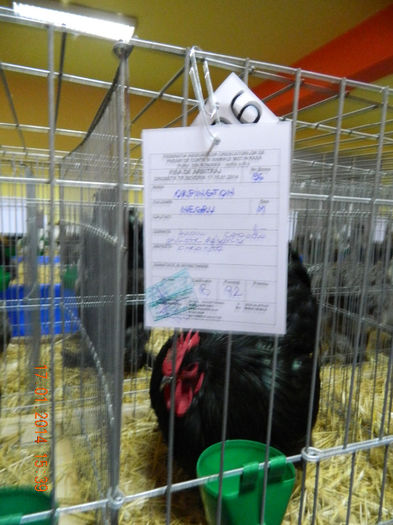 DSCN5183