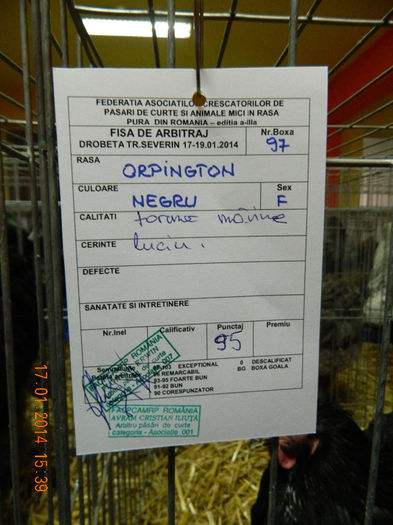 DSCN5185