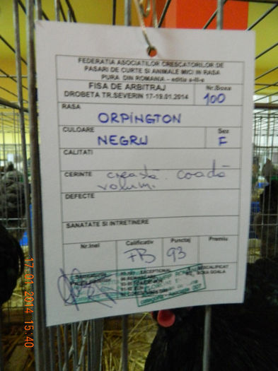 DSCN5193