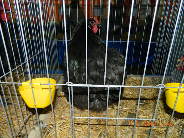 DSCN5213