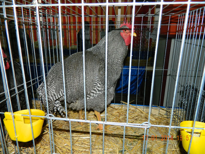 DSCN5215