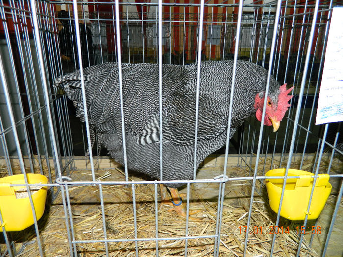 DSCN5222
