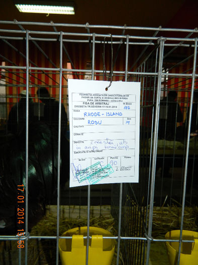 DSCN5229 - Expo Fauna Mehedinteana - Editia a III-a