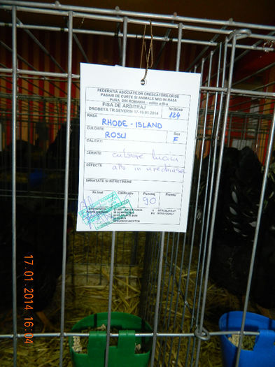 DSCN5246 - Expo Fauna Mehedinteana - Editia a III-a
