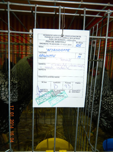 DSCN5248 - Expo Fauna Mehedinteana - Editia a III-a