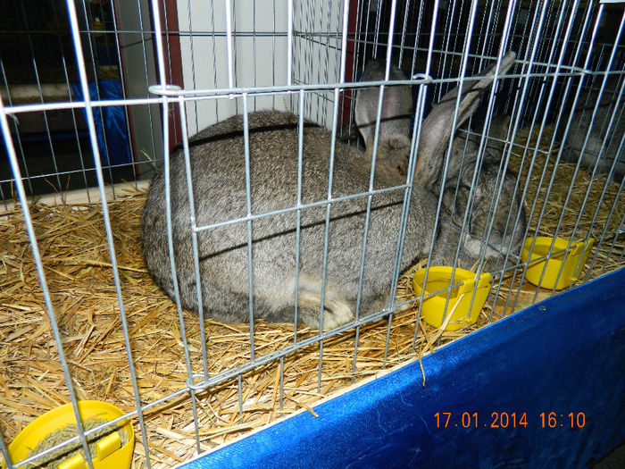 DSCN5293