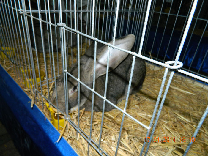 DSCN5299