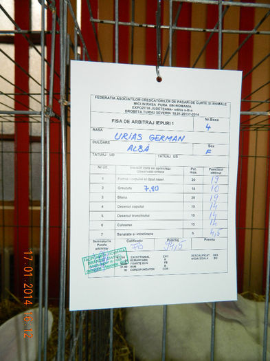 DSCN5310 - Expo Fauna Mehedinteana - Editia a III-a