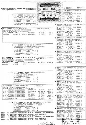 img051 - pedigree porumbei