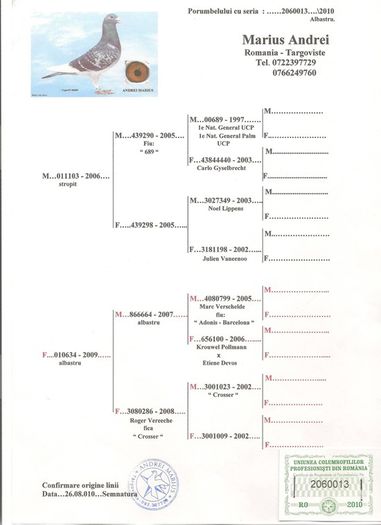 2060013 -2 AS - Perechea nr 2