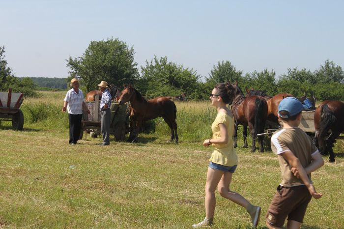 IMG_6350 - EXPO CAI RUSENI 2014 SATU MARE