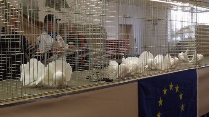 DSCF0970 - CFC Maihingen 2014