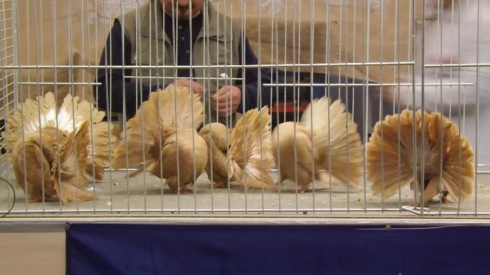 DSCF1573 - CFC Maihingen 2014