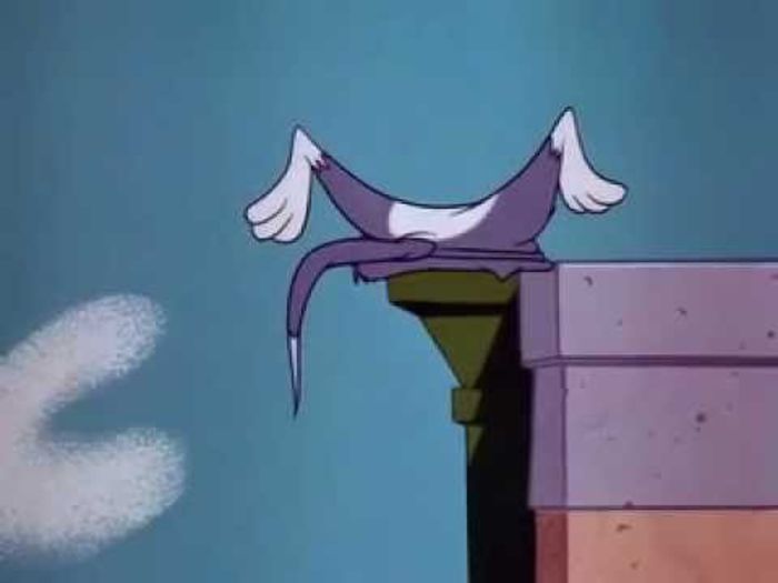 Tom si Jerry