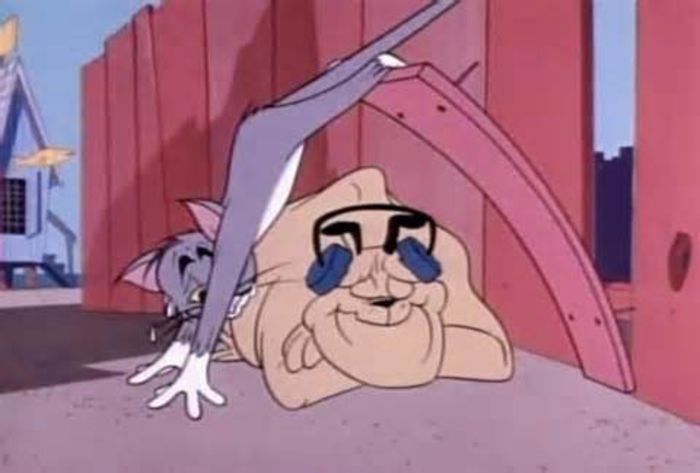 Tom si Jerry