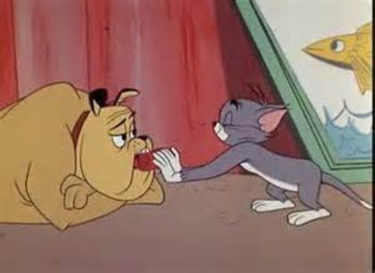 Tom si Jerry