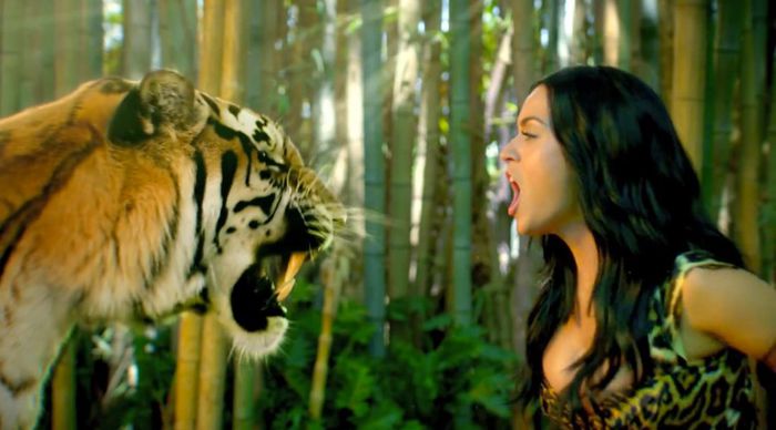 Katy Perry-Roar ghicit de alLaboutU - Ghiceste melodiile