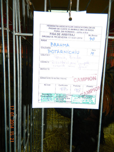 Crescator: Ciobanu Denis; 95 p
